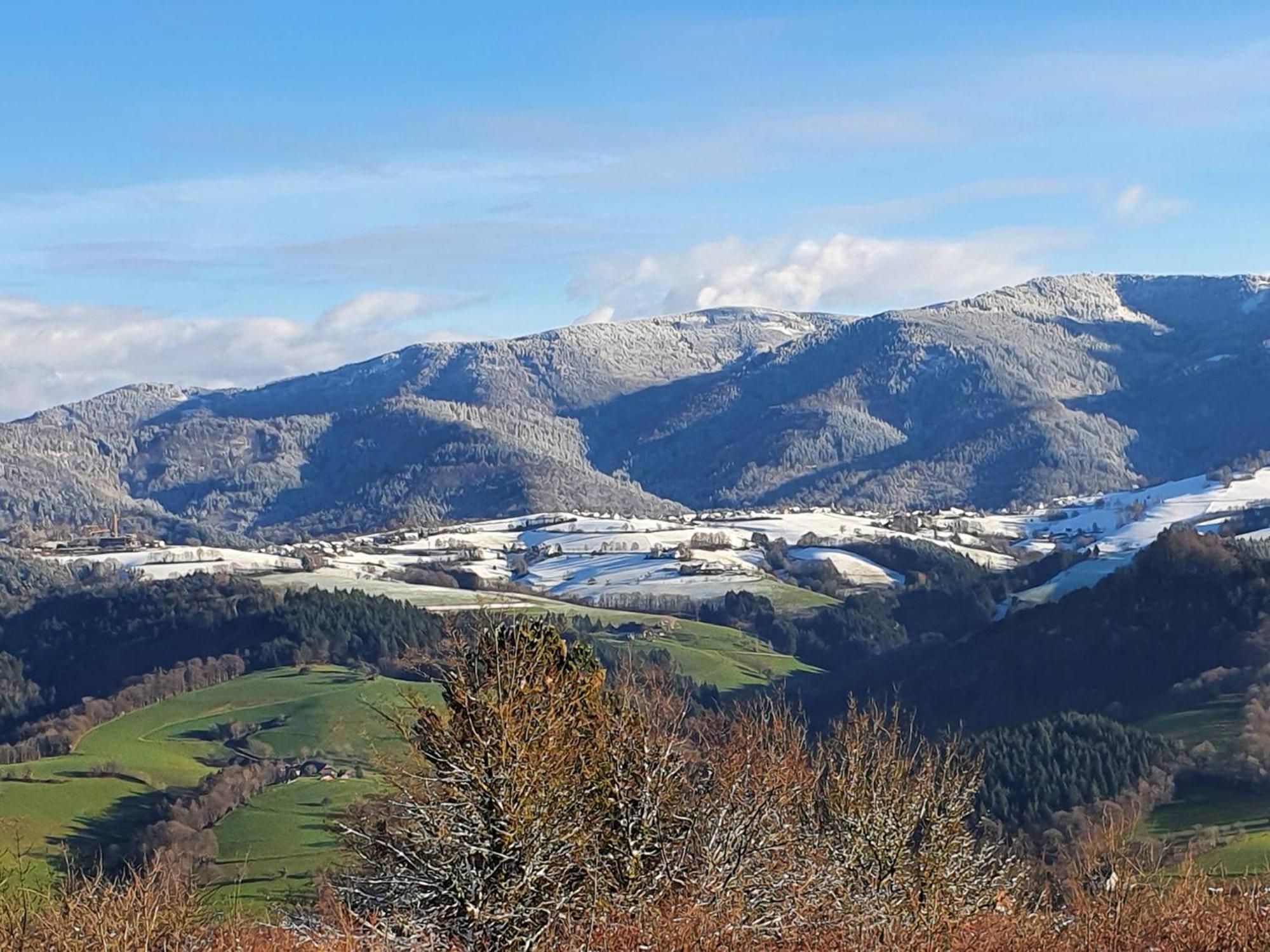 Ferienwohnung Birkental Ebringen Exterior foto